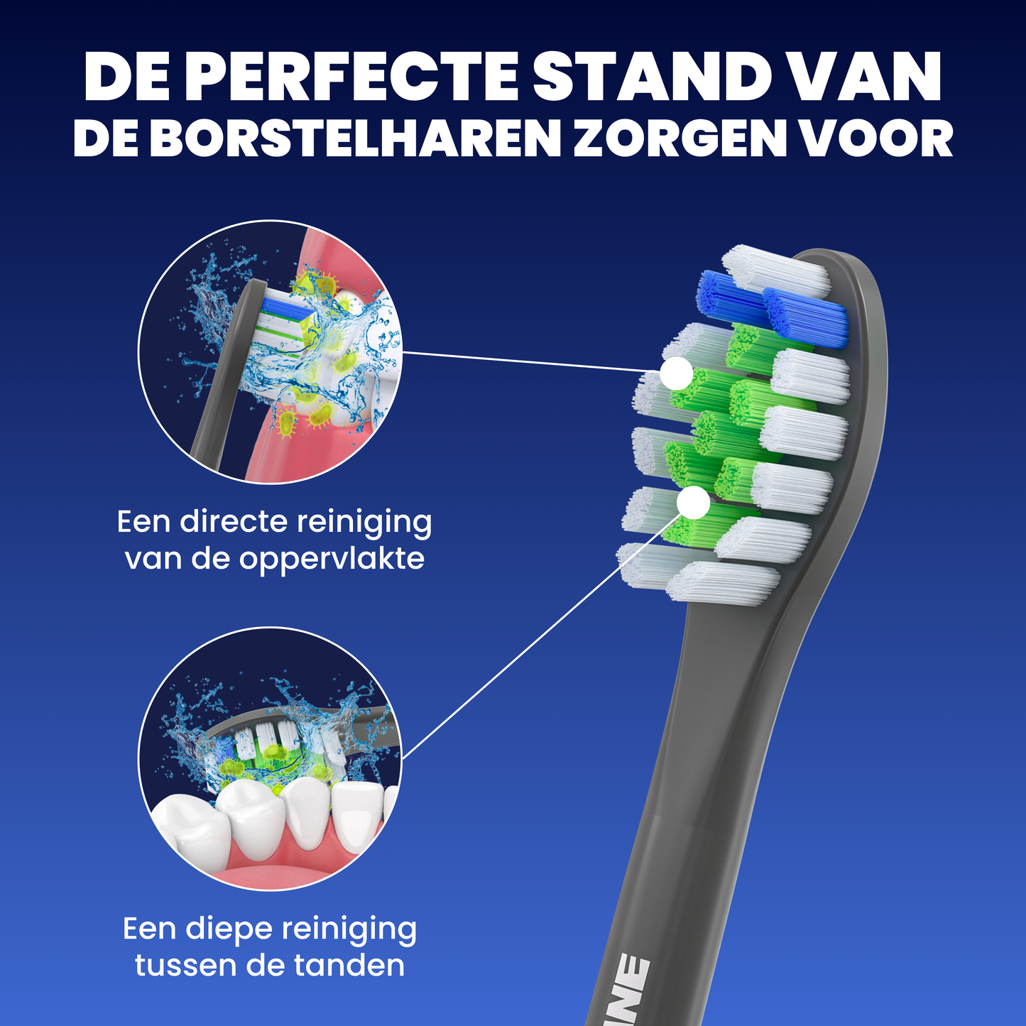 Opzetborstels geschikt voor Philips Sonicare - Normale Borstelharen - Zwart - 32 Stuks
