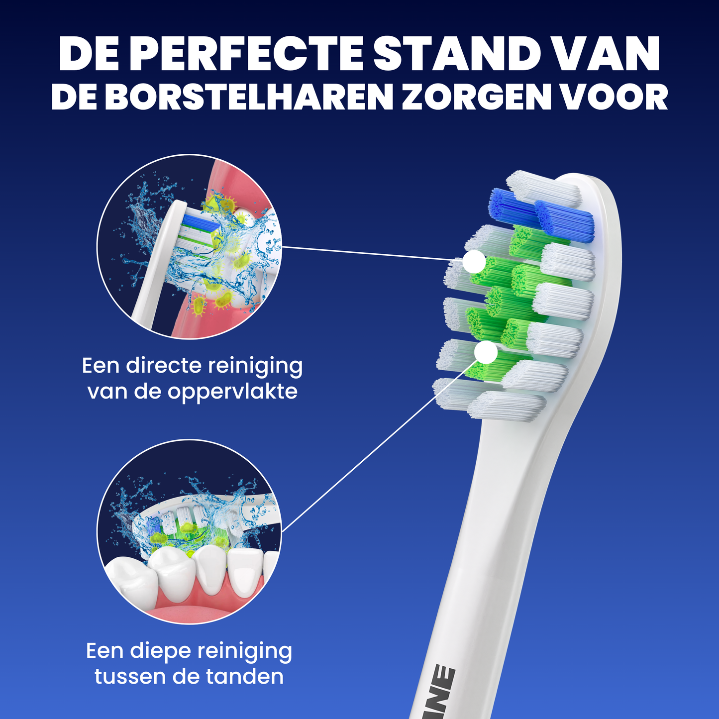 Opzetborstels geschikt voor Philips Sonicare - Normale Borstelharen - Wit - 40 Stuks