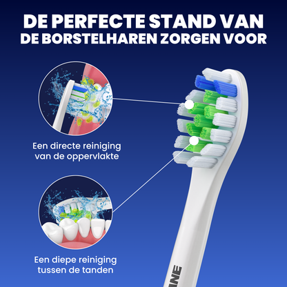 Opzetborstels geschikt voor Philips Sonicare - Normale Borstelharen - Wit - 40 Stuks